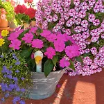 Bed & Breakfast Haus Barbara 3*