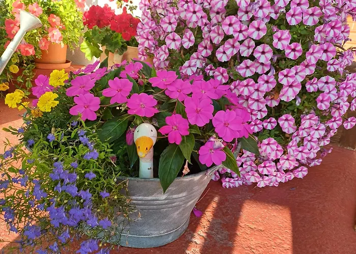 Couette-café Haus Barbara 3*